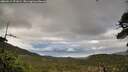 ./images/calvert/fitz-hugh-hecate/20260514/fitz-hugh-hecate20260514_071001M.jpg