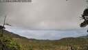 ./images/calvert/fitz-hugh-hecate/20260514/fitz-hugh-hecate20260514_073001M.jpg