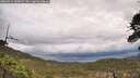 ./images/calvert/fitz-hugh-hecate/20260514/fitz-hugh-hecate20260514_100002M.jpg