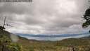 ./images/calvert/fitz-hugh-hecate/20260514/fitz-hugh-hecate20260514_103001M.jpg