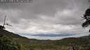 ./images/calvert/fitz-hugh-hecate/20260514/fitz-hugh-hecate20260514_104001M.jpg