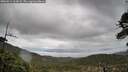 ./images/calvert/fitz-hugh-hecate/20260514/fitz-hugh-hecate20260514_104502M.jpg