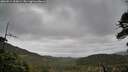 ./images/calvert/fitz-hugh-hecate/20260514/fitz-hugh-hecate20260514_105001M.jpg