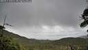 ./images/calvert/fitz-hugh-hecate/20260514/fitz-hugh-hecate20260514_105501M.jpg