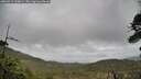 ./images/calvert/fitz-hugh-hecate/20260514/fitz-hugh-hecate20260514_110001M.jpg