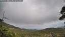 ./images/calvert/fitz-hugh-hecate/20260514/fitz-hugh-hecate20260514_110501M.jpg