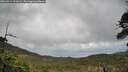 ./images/calvert/fitz-hugh-hecate/20260514/fitz-hugh-hecate20260514_111001M.jpg