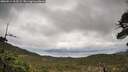 ./images/calvert/fitz-hugh-hecate/20260514/fitz-hugh-hecate20260514_113501M.jpg
