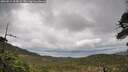 ./images/calvert/fitz-hugh-hecate/20260514/fitz-hugh-hecate20260514_114501M.jpg