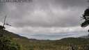 ./images/calvert/fitz-hugh-hecate/20260514/fitz-hugh-hecate20260514_115001M.jpg