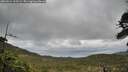./images/calvert/fitz-hugh-hecate/20260514/fitz-hugh-hecate20260514_115501M.jpg