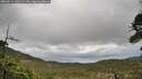 ./images/calvert/fitz-hugh-hecate/20260514/fitz-hugh-hecate20260514_120501M.jpg