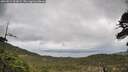 ./images/calvert/fitz-hugh-hecate/20260514/fitz-hugh-hecate20260514_122001M.jpg