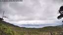 ./images/calvert/fitz-hugh-hecate/20260514/fitz-hugh-hecate20260514_124001M.jpg