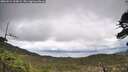 ./images/calvert/fitz-hugh-hecate/20260514/fitz-hugh-hecate20260514_124501M.jpg