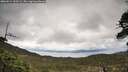 ./images/calvert/fitz-hugh-hecate/20260514/fitz-hugh-hecate20260514_125502M.jpg