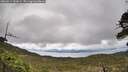 ./images/calvert/fitz-hugh-hecate/20260514/fitz-hugh-hecate20260514_130001M.jpg
