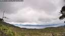 ./images/calvert/fitz-hugh-hecate/20260514/fitz-hugh-hecate20260514_130501M.jpg