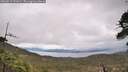 ./images/calvert/fitz-hugh-hecate/20260514/fitz-hugh-hecate20260514_131001M.jpg