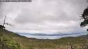 ./images/calvert/fitz-hugh-hecate/20260514/fitz-hugh-hecate20260514_131501M.jpg