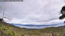./images/calvert/fitz-hugh-hecate/20260514/fitz-hugh-hecate20260514_133001M.jpg