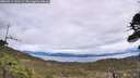 ./images/calvert/fitz-hugh-hecate/20260514/fitz-hugh-hecate20260514_133502M.jpg