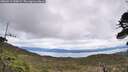 ./images/calvert/fitz-hugh-hecate/20260514/fitz-hugh-hecate20260514_135002M.jpg