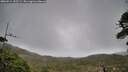 ./images/calvert/fitz-hugh-hecate/20260514/fitz-hugh-hecate20260514_152501M.jpg