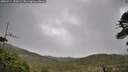 ./images/calvert/fitz-hugh-hecate/20260514/fitz-hugh-hecate20260514_153001M.jpg