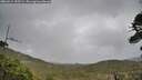 ./images/calvert/fitz-hugh-hecate/20260514/fitz-hugh-hecate20260514_153501M.jpg