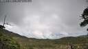 ./images/calvert/fitz-hugh-hecate/20260514/fitz-hugh-hecate20260514_160001M.jpg