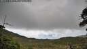 ./images/calvert/fitz-hugh-hecate/20260514/fitz-hugh-hecate20260514_160501M.jpg