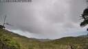 ./images/calvert/fitz-hugh-hecate/20260514/fitz-hugh-hecate20260514_161001M.jpg