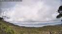 ./images/calvert/fitz-hugh-hecate/20260514/fitz-hugh-hecate20260514_163501M.jpg