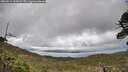 ./images/calvert/fitz-hugh-hecate/20260514/fitz-hugh-hecate20260514_165001M.jpg