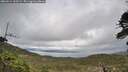 ./images/calvert/fitz-hugh-hecate/20260514/fitz-hugh-hecate20260514_165501M.jpg