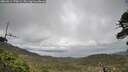 ./images/calvert/fitz-hugh-hecate/20260514/fitz-hugh-hecate20260514_170001M.jpg