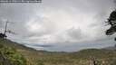 ./images/calvert/fitz-hugh-hecate/20260514/fitz-hugh-hecate20260514_170501M.jpg