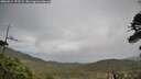 ./images/calvert/fitz-hugh-hecate/20260514/fitz-hugh-hecate20260514_172502M.jpg