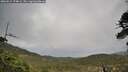 ./images/calvert/fitz-hugh-hecate/20260514/fitz-hugh-hecate20260514_174001M.jpg