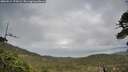 ./images/calvert/fitz-hugh-hecate/20260514/fitz-hugh-hecate20260514_175001M.jpg