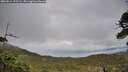 ./images/calvert/fitz-hugh-hecate/20260514/fitz-hugh-hecate20260514_175501M.jpg