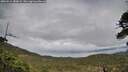 ./images/calvert/fitz-hugh-hecate/20260514/fitz-hugh-hecate20260514_180001M.jpg