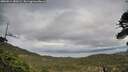 ./images/calvert/fitz-hugh-hecate/20260514/fitz-hugh-hecate20260514_180501M.jpg