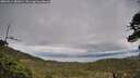 ./images/calvert/fitz-hugh-hecate/20260514/fitz-hugh-hecate20260514_181001M.jpg