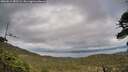 ./images/calvert/fitz-hugh-hecate/20260514/fitz-hugh-hecate20260514_181501M.jpg