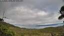./images/calvert/fitz-hugh-hecate/20260514/fitz-hugh-hecate20260514_183501M.jpg