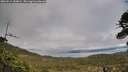 ./images/calvert/fitz-hugh-hecate/20260514/fitz-hugh-hecate20260514_184001M.jpg