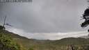 ./images/calvert/fitz-hugh-hecate/20260514/fitz-hugh-hecate20260514_193002M.jpg