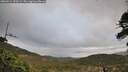 ./images/calvert/fitz-hugh-hecate/20260514/fitz-hugh-hecate20260514_193501M.jpg